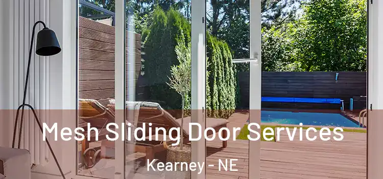 Mesh Sliding Door Services Kearney - NE